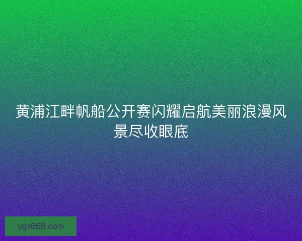 黄浦江畔帆船公开赛闪耀启航美丽浪漫风景尽收眼底