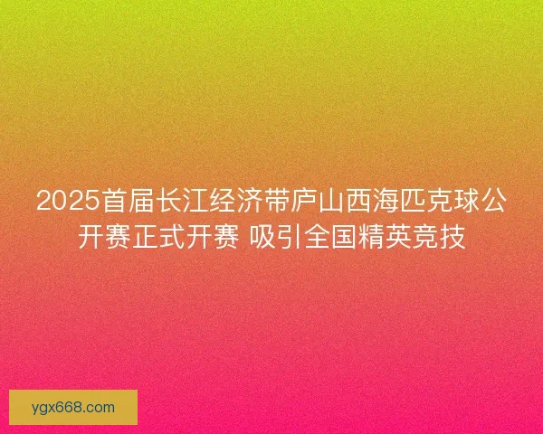 2025首届长江经济带庐山西海匹克球公开赛正式开赛 吸引全国精英竞技